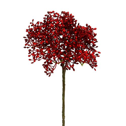 Floristik24 Ramo di fiori di sambuco rosso 55cm 4 pezzi