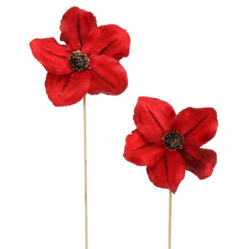 Fiore in legno come spina rosso Ø9cm - 12cm L45cm 15 pezzi