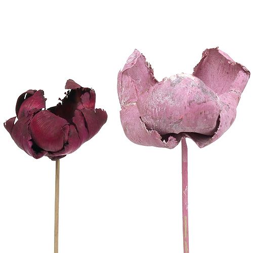 Floristik24 Fiore in legno, tazza di palma mix rosa-erika 25 pz