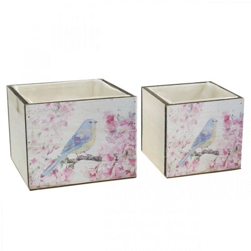 Floristik24 Fioriere con stampa di uccelli, fioriera, primavera, scatola decorativa per piantare look vintage L17/15 cm H13/11 cm set di 2