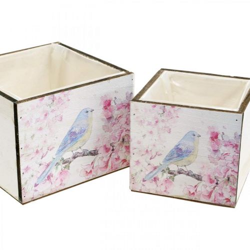 Floristik24 Fioriere con stampa di uccelli, fioriera, primavera, scatola decorativa per piantare look vintage L17/15 cm H13/11 cm set di 2
