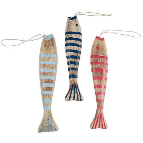 Floristik24 Pesce in legno per appendere decorazione pesce in legno 29 cm colorato 3 pezzi