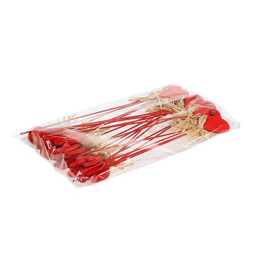 Floristik24 Cuore in legno su bastone rosso 4,5 cm 24 pezzi