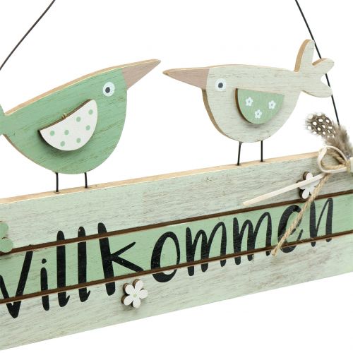 Floristik24 Cartello in legno &quot;Welcome&quot; Verde 29,5 cm x 28 cm 2 pezzi