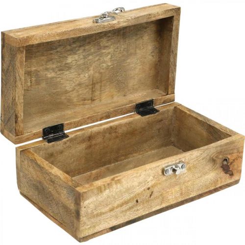 Floristik24 Scatola in legno con coperchio portagioie scatola in legno 21,5×11×8,5 cm