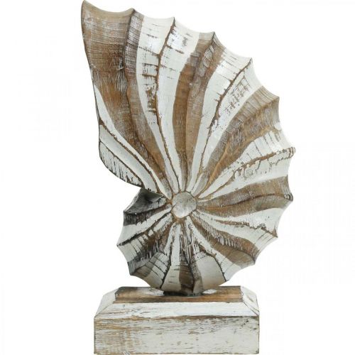 Floristik24 Supporto per conchiglia in legno Maritime Deco natura, bianco H28cm