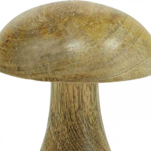Floristik24 Fungo di legno naturale, giallo autunno deco funghi di legno 12×10 cm