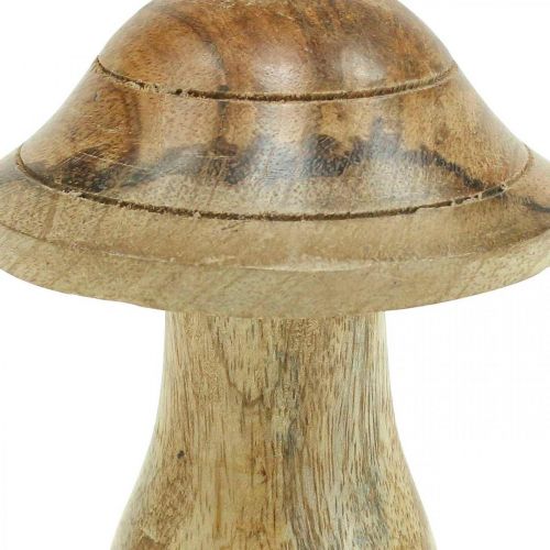 Prodotto Fungo di legno con scanalature Fungo decorativo autunnale legno di mango naturale 10×Ø8cm