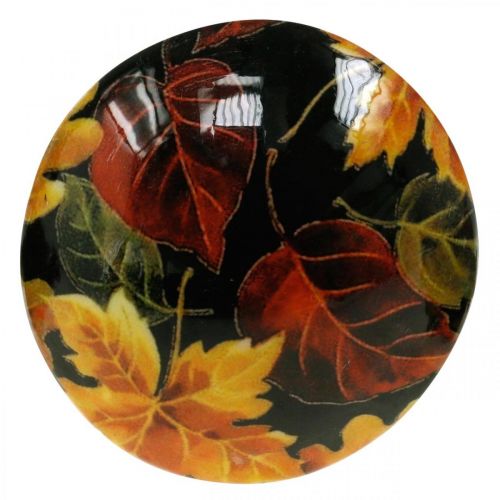 Floristik24 Decorazione funghi in legno foglie colorate decorazione autunnale nero, colorato Ø13cm H19cm