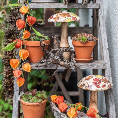 Floristik24 Fungo in legno deco foglie autunnali bianche, decorazione autunnale colorata Ø13cm H19cm