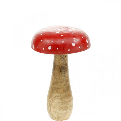Fungo decorativo in legno di agarico autunnale Ø12cm H19cm Fungo decorativo in legno di agarico autunnale Ø12cm H19cm