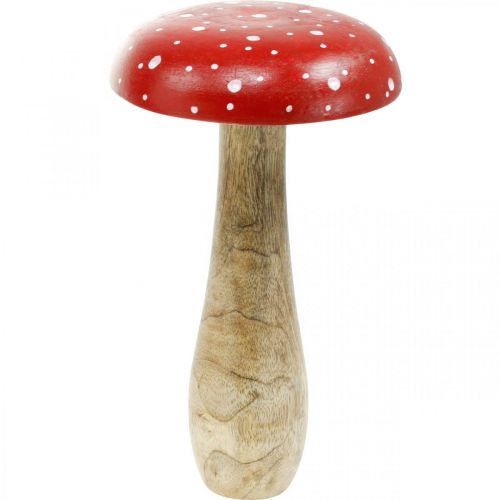 Floristik24 Fungo decorativo autunnale grande in legno di agarico volante Ø14cm H24cm