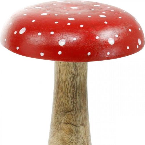 Floristik24 Fungo decorativo autunnale grande in legno di agarico volante Ø14cm H24cm