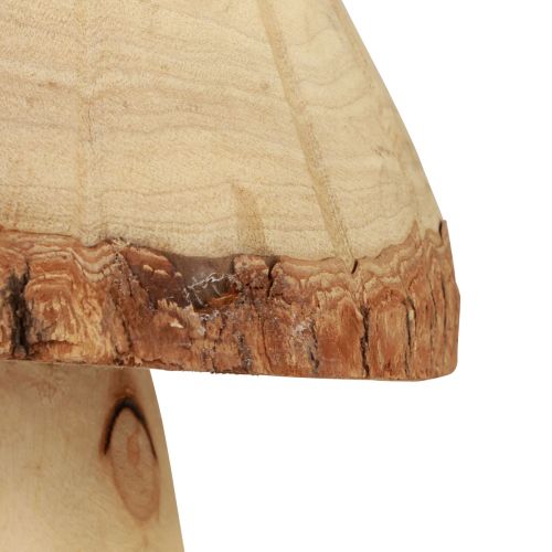 Floristik24 Funghi in legno decorazione funghi decorazione in legno decorazione da tavola naturale autunno Ø14cm H36cm