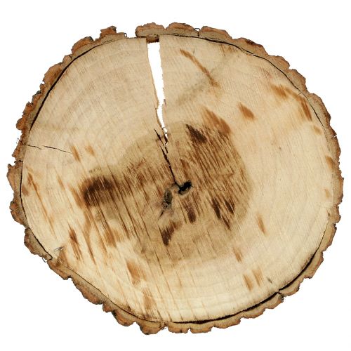 Floristik24 Disco in legno naturale 20 cm 2 pz