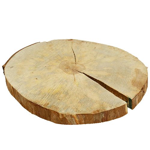 Floristik24 Disco di legno naturale 25 cm - 30 cm