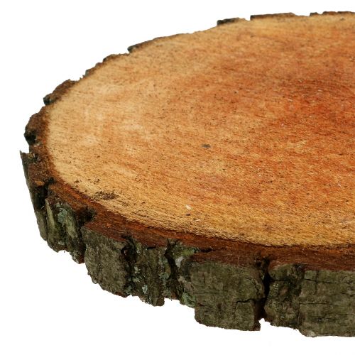 Floristik24 Disco in legno di ontano naturale Ø20cm - 24cm