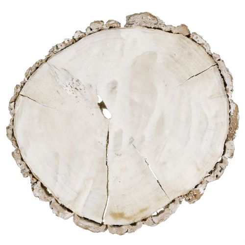 Floristik24 Disco in legno lavato bianco 13 cm - 15 cm 2 pezzi