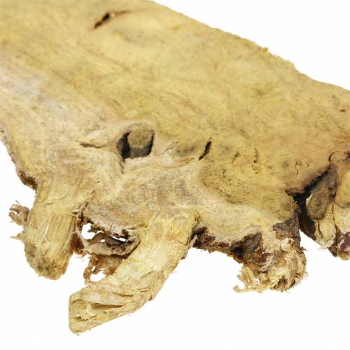 Floristik24 Dischi in legno Deco natura 1kg