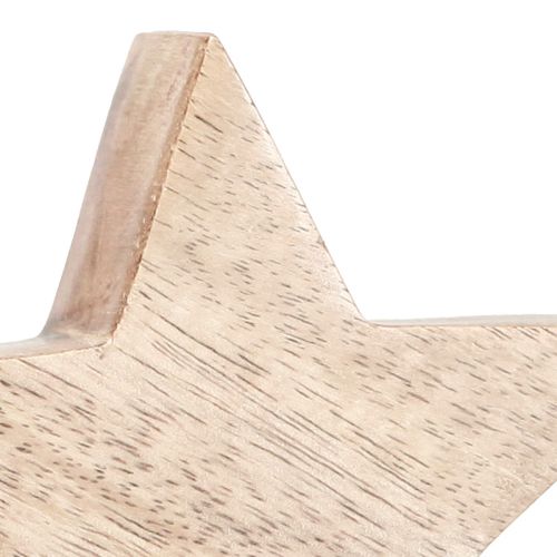 Floristik24 Stella in legno stella naturale decorazione da tavolo in legno di mango Ø10cm 3 pz