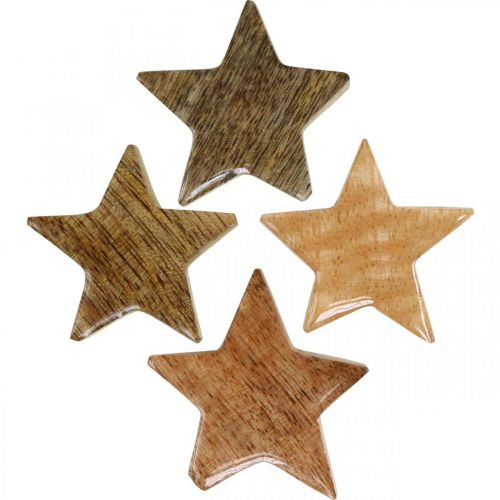 Floristik24 Stelle in legno sparse decorazione stella natalizia lucida naturale H5cm 12 pz