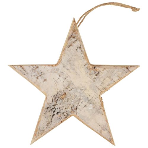 Floristik24 Appendiabiti decorativo decorazione stelle in legno decorazione rustica legno bianco Ø20cm