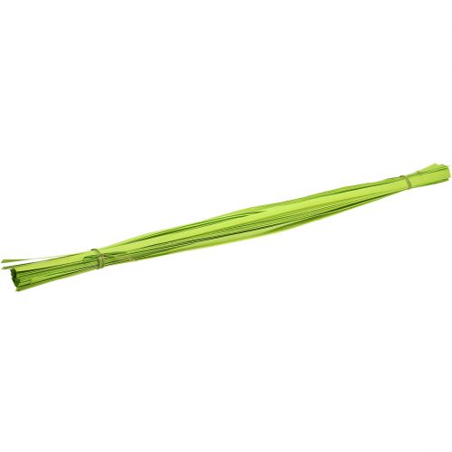 Floristik24 Listelli in legno verde primavera 95 cm - 100 cm 50 pz