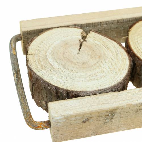 Prodotto Vassoio decorativo in legno con fette d&#39;albero 34 cm x 12 cm H3 cm