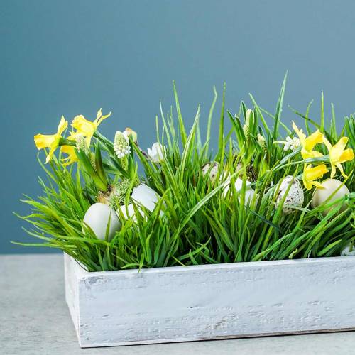 Floristik24 Vassoio Shabby Chic in legno bianco rettangolare 37,5 cm x 14,5 cm H 6,3 cm