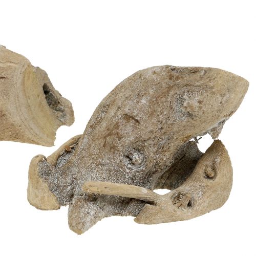 Floristik24 Radice di legno lavato grigio 500g