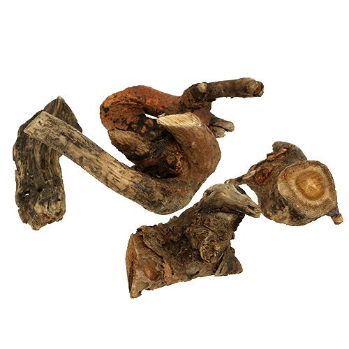 Floristik24 Radice di legno natura 6 cm-13 cm 500 g