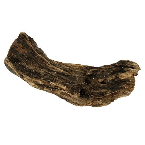 Prodotto Radice di legno natura 6 cm-13 cm 500 g