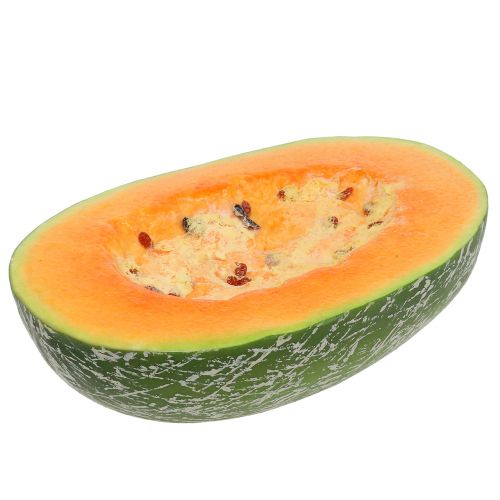 Floristik24 Melone melata mezzo 22,5 cm arancio chiaro