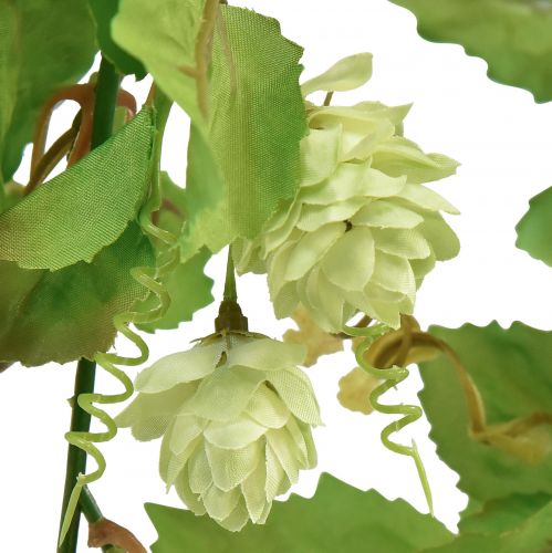 Floristik24 Ghirlanda di foglie ghirlanda di luppolo verde artificiale L180cm
