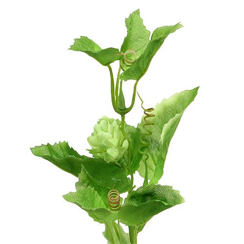 Prodotto Ramo di luppolo 70 cm verde 2 pezzi di pianta artificiale