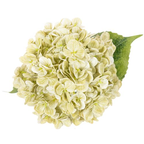 Fiore di ortensia artificiale con stelo lungo e foglie, 60 cm | Floristik24.it