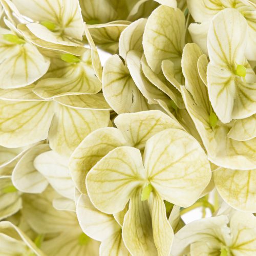 Fiore di ortensia artificiale con stelo lungo e foglie, 60 cm | Floristik24.it