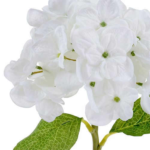 Prodotto Ortensia 35 cm bianca
