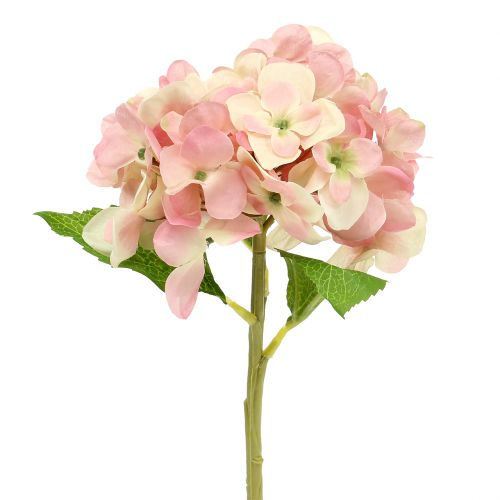 Floristik24 Ortensia rosa, crema 36 cm