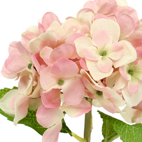 Floristik24 Ortensia rosa, crema 36 cm