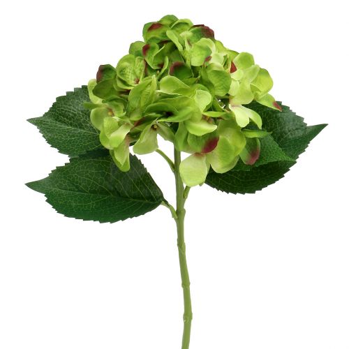 Floristik24 Ortensia verde artificiale per la decorazione L54cm