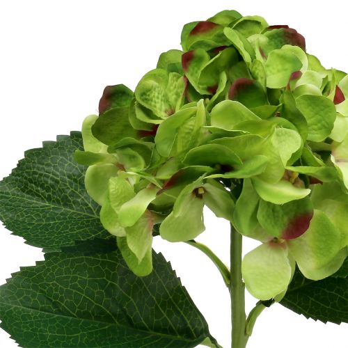 Floristik24 Ortensia verde artificiale per la decorazione L54cm