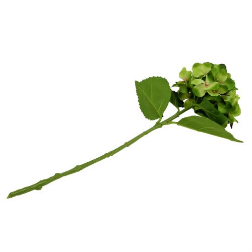 Floristik24 Ortensia verde artificiale per la decorazione L54cm