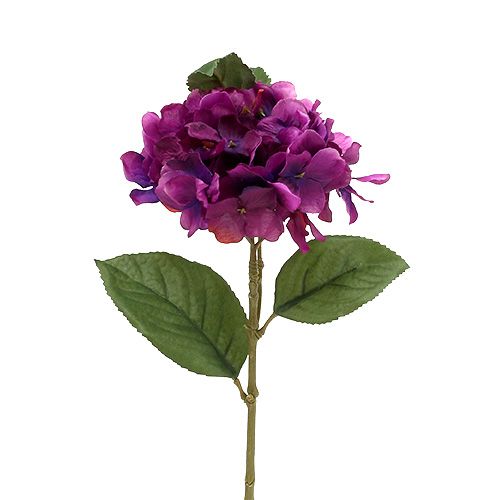 Floristik24 Ortensia viola 30 cm 3 pezzi