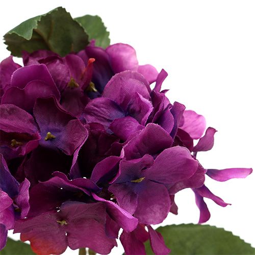 Floristik24 Ortensia viola 30 cm 3 pezzi