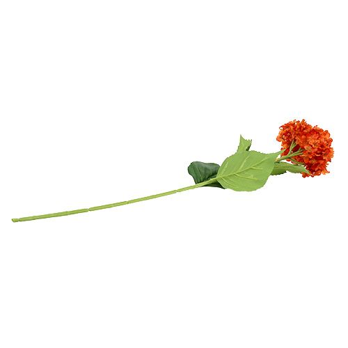 Floristik24 Ortensia arancione 80 cm 1p