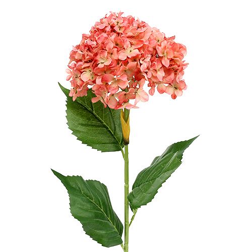 Floristik24 Ortensia rosa 80 cm 1 pz