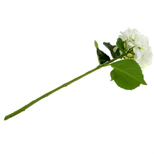 Floristik24 Ortensia bianca L54cm 1pc
