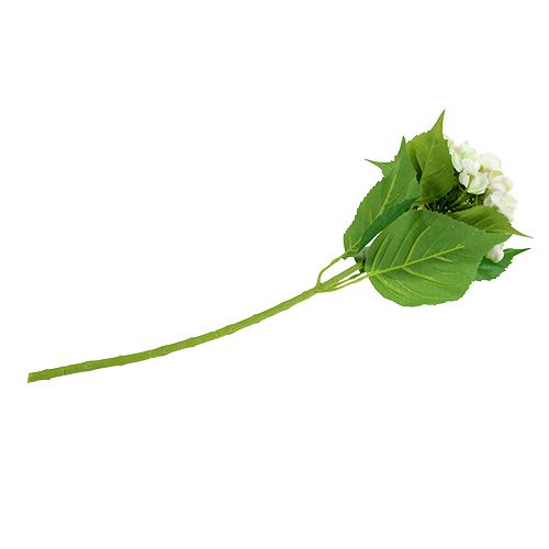 Ortensia bianco-verde 60cm | Floristik24.it