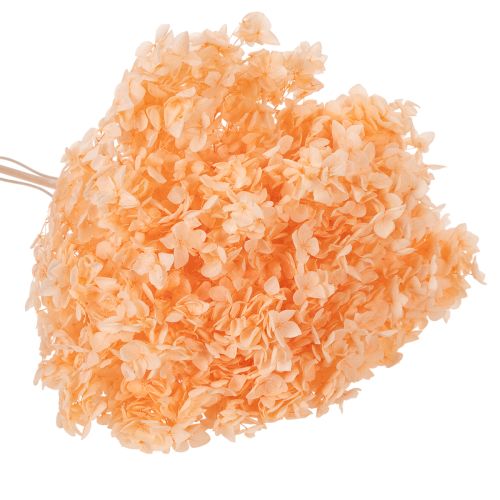 Prodotto Bouquet di fiori secchi di ortensia per eleganti decorazioni floreali in casa, 65 cm